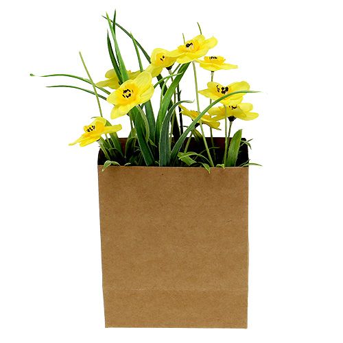 Floristik24 Narcizas popieriniame maišelyje geltonas H21cm