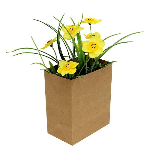 Floristik24 Narcizas popieriniame maišelyje geltonas H21cm