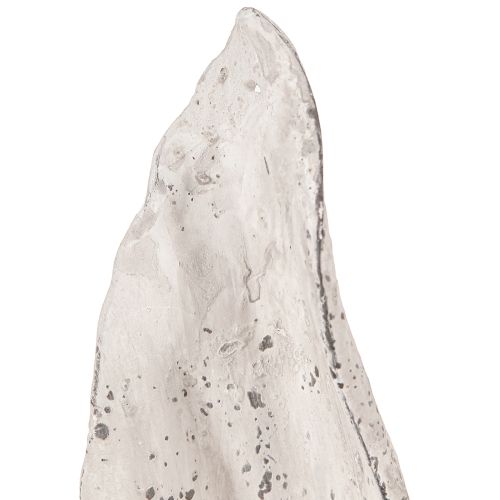Floristik24 Velykų zuikio puošmena Triušio ausys Pilkos/baltos Shabby Chic H29cm