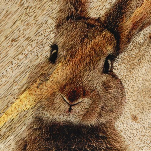 daiktų Velykų lėkštė Medinė dekoratyvinė lėkštė Triušis su kiaušiniu Natural 25x26cm