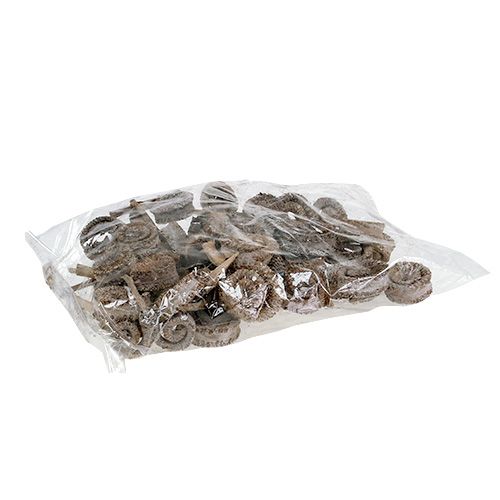 daiktų Palm Male White Washed 25 vnt
