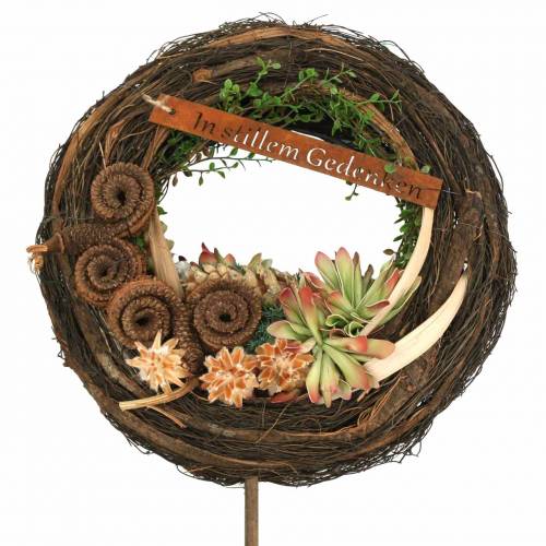 daiktų Palm Male White Washed 25 vnt