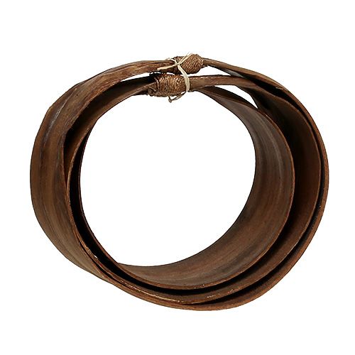 Floristik24 Palmių lapų rinkinys natural 21cm -26cm