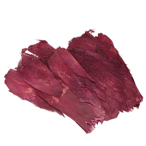 Floristik24 Palmių pluoštas natūralus dekoras natūralus pluoštas Uoga 25-50cm 250g