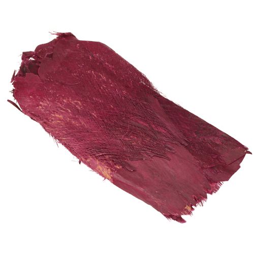 Floristik24 Palmių pluoštas natūralus dekoras natūralus pluoštas Uoga 25-50cm 250g