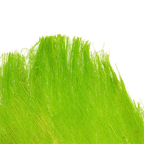 Floristik24 Palmių pluošto pastelinė šviesiai žalia 400gr