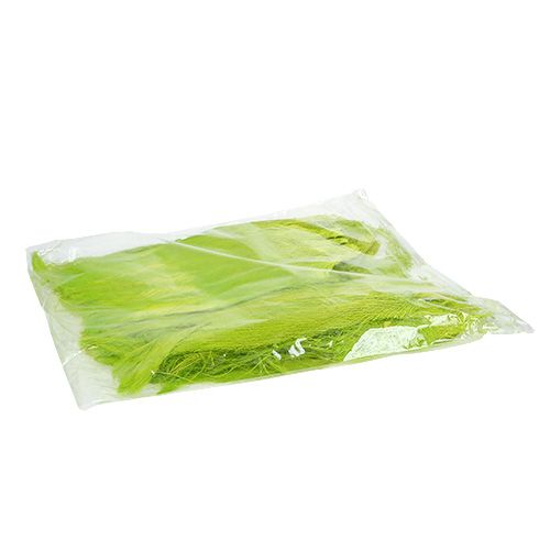 Floristik24 Palmių pluošto pastelinė šviesiai žalia 400gr