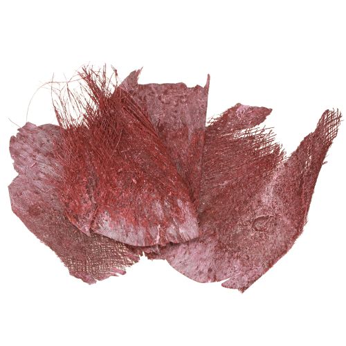Floristik24 Palmių pluoštas rankdarbiams, Bordo baltai plautas, 20-40 cm, 250 g