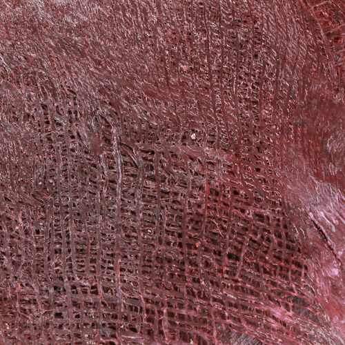 daiktų Palmių pluoštas rankdarbiams, Bordo baltai plautas, 20-40 cm, 250 g
