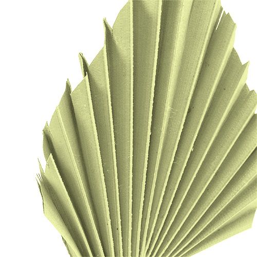 daiktų Palmspear obuolių žalias balintas 65 vnt