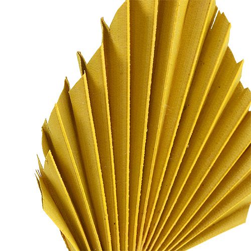 daiktų Palmspear Yellow 65 vnt