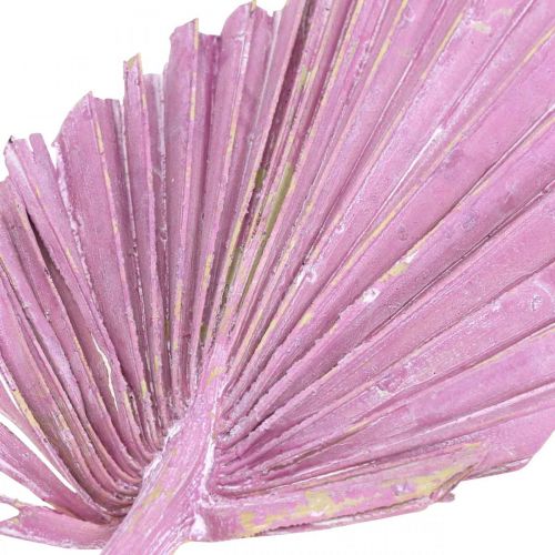 daiktų Palmspear Mix Pink Berry, White Washed Memorial Floristry 65vnt