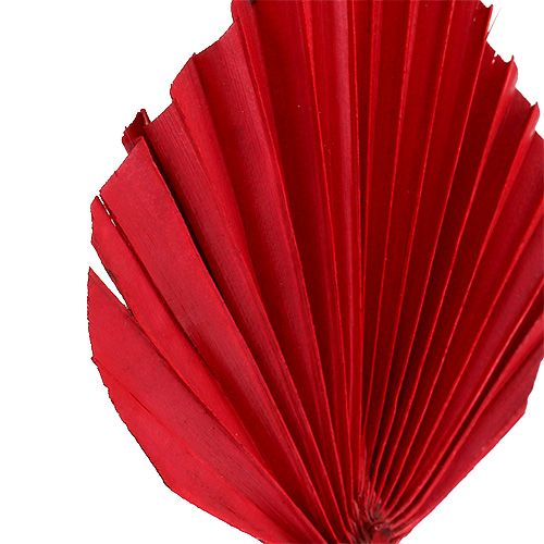 daiktų Palmspear Red 65 vnt