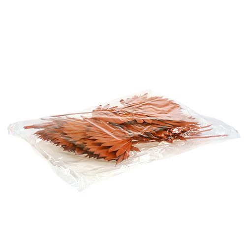 daiktų Palmspear Sun mini Orange 50 vnt