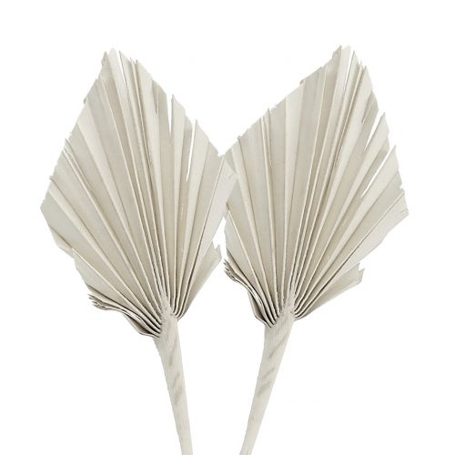 daiktų Palmspear Mini White skalbtas 100 vnt