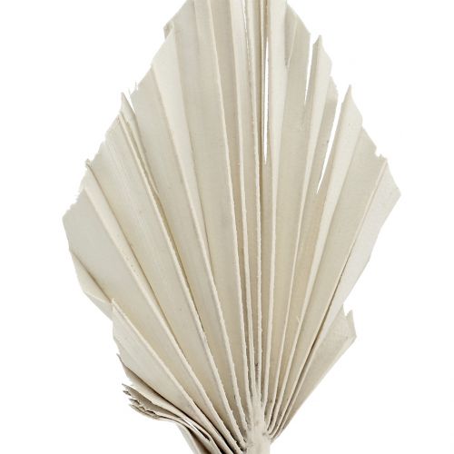 daiktų Palmspear Mini White skalbtas 100 vnt