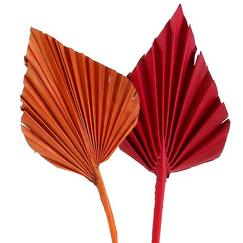 daiktų Palmspear asorti raudona/oranžinė 50 vnt