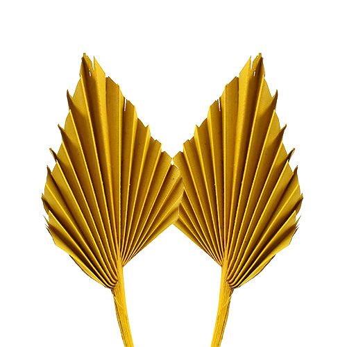 Floristik24 Palmspear mini geltona 100 vnt