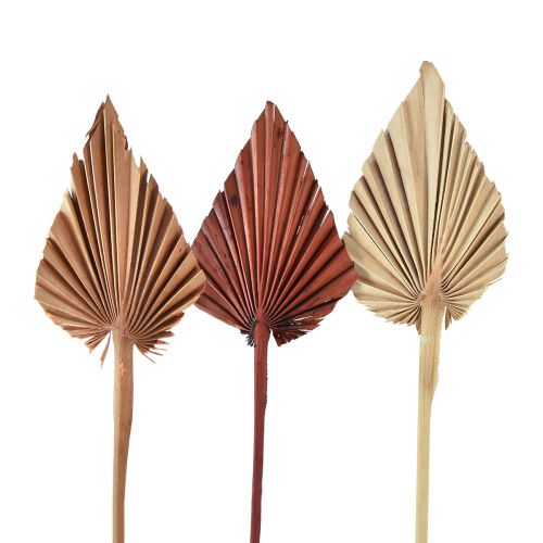 daiktų Palmspear mini asorti Morocco 30 vnt