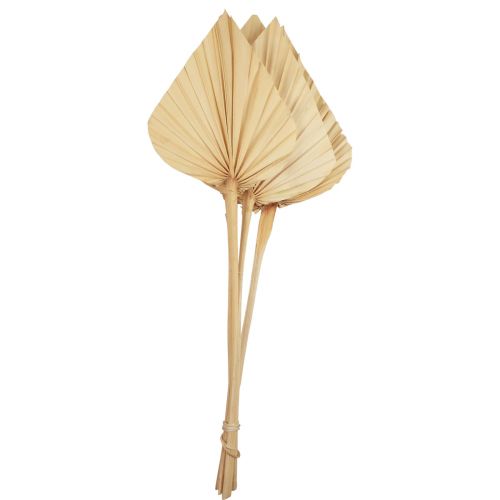 Floristik24 Palmės palmių lapų natūrali puošyba balinta 12,5×38cm 4 vnt