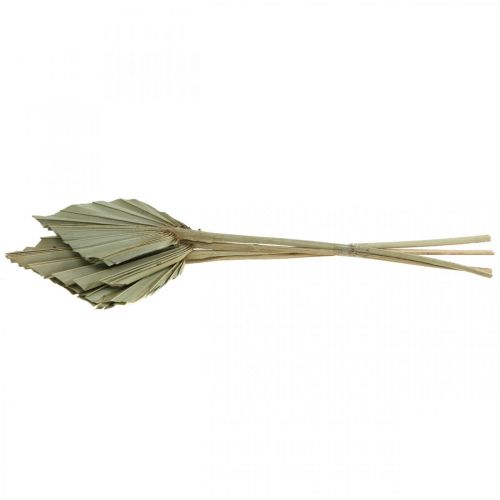 daiktų Mini delninis ietis, sausa floristika, Advento puošmena, atminimo dienos natūralus L33-34cm P7-9cm 4 vnt.