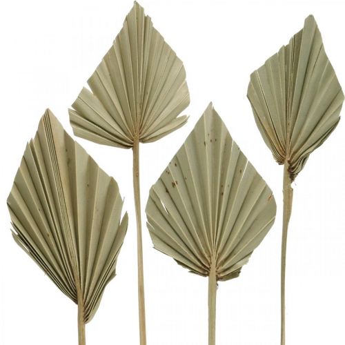 Mini delninis ietis, sausos gėlės, advento puošmena, minėjimo dienos natūralus L33-34cm P7-9cm 4vnt.