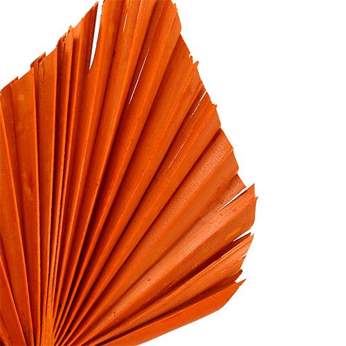 daiktų Palmspear Orange 65 vnt