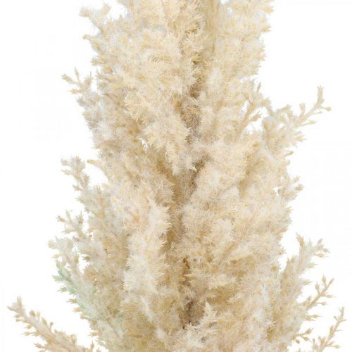 Floristik24 Pampas Grass Cream Dirbtinis Dry Floristics Deco Grass 72cm