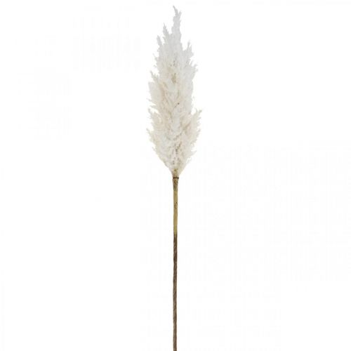 daiktų Pampas Grass Balta Dirbtinė Sausa Žolė Dirbtiniai augalai