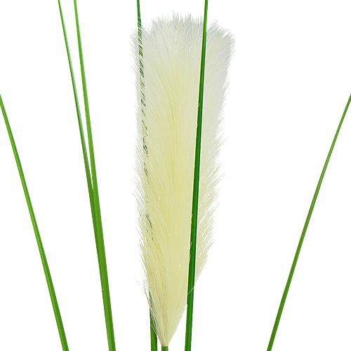 Floristik24 Pampų žolės lapeliai kreminiai-žalia H100cm