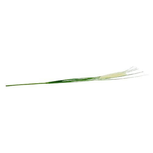 Floristik24 Pampų žolės lapeliai kreminiai-žalia H100cm