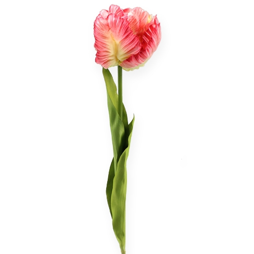 Floristik24 Papūgos tulpė rožinė 71cm 3vnt