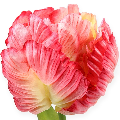 Floristik24 Papūgos tulpė rožinė 71cm 3vnt