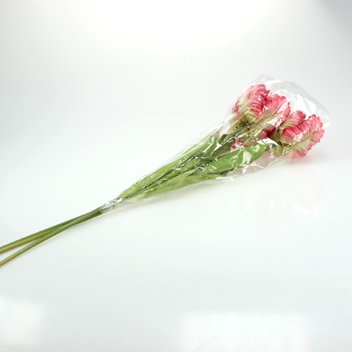 Floristik24 Papūgos tulpė rožinė 71cm 3vnt