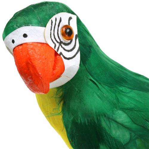Floristik24 Dekoratyvinė papūgos žalia 44cm