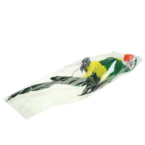 Floristik24 Dekoratyvinė papūgos žalia 44cm