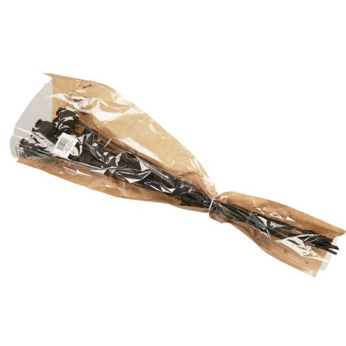 Floristik24 Džiovintos gėlės aguonų kapsulės džiovintos Black Papaver 80g