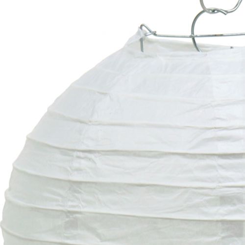 Floristik24 Popierinis žibintas baltas Ø20cm