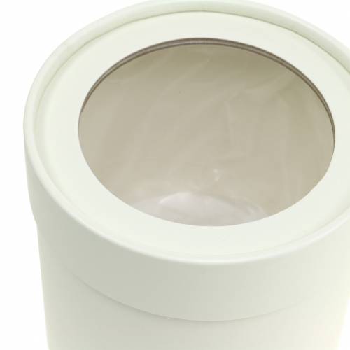 daiktų Gėlių dėžutė apvali kartoninė kreminė Ø10/12cm rinkinyje 2 vnt