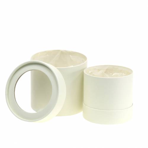 Gėlių dėžutė apvali kartoninė kreminė Ø10/12cm rinkinyje 2 vnt
