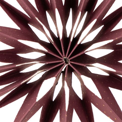 daiktų Popierinės žvaigždės, bordo rožinės spalvos, kabinimui, Ø10 cm, 4 vnt.