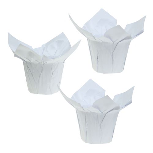 Floristik24 Popieriniai puodai balti Ø10cm 12vnt