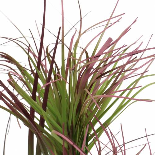 Floristik24 Viksvų žolė vazonėlyje dirbtinė žalia, raudona violetinė 45cm