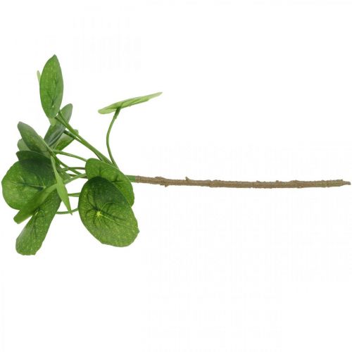 Floristik24 Peperomia Dirbtinis žalias augalas su lapais 30cm