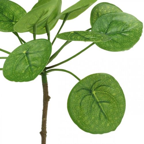 daiktų Peperomia Dirbtinis žalias augalas su lapais 30cm