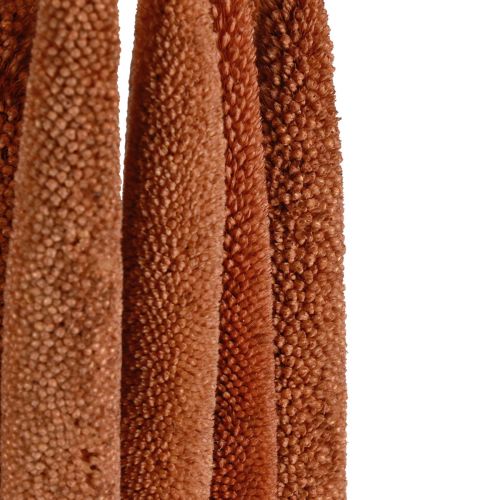 daiktų Pearl Millet Dekoratyviniai nendrių svogūnėliai Babala Millet Brown 70cm 10vnt