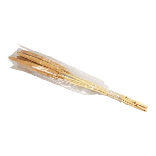daiktų Pearl Millet Dekoratyviniai nendrių svogūnėliai Babala Millet Yellow 70cm 10 vnt