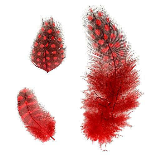 daiktų Faraona perlinių vištų plunksnos 30g raudonos