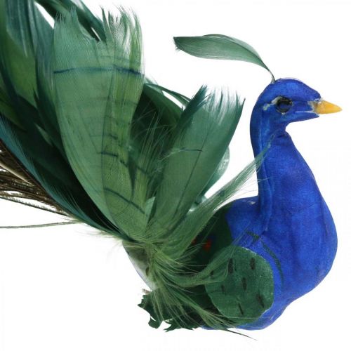 daiktų Rojaus paukštis, povas prie apkabos, plunksninis paukštis, paukščio puošmena mėlyna, žalia, spalvinga H8,5 L29cm
