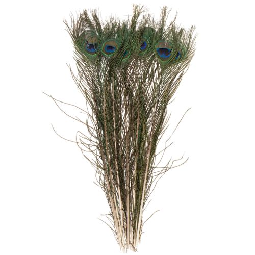 daiktų Povo plunksnos, tikros paukščių plunksnos rankdarbiams ir dekoravimui, 55 cm, 10 vnt.